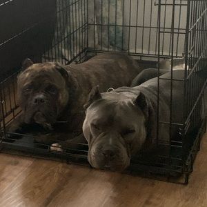 Meet your Posher, Gerald